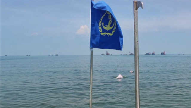 广东湛江海域出现中华白海豚!当地称至少有5只,还有粉色的