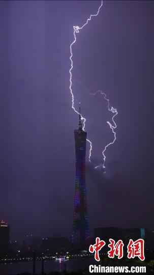  广州发布冰雹预警 强对流天气致行道树折断